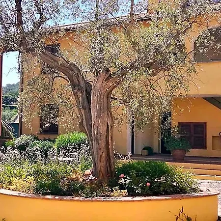 Borgo Venecca